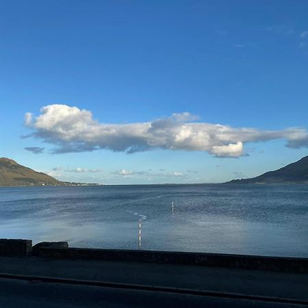 'A Room With Seaview' On Carlingford Lough Warrenpoint Exteriör bild